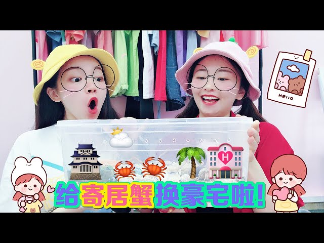 兩姐妹的寵物日記,先幫寄居蟹們洗澡和搬家,最後再給它們取名字#花甜